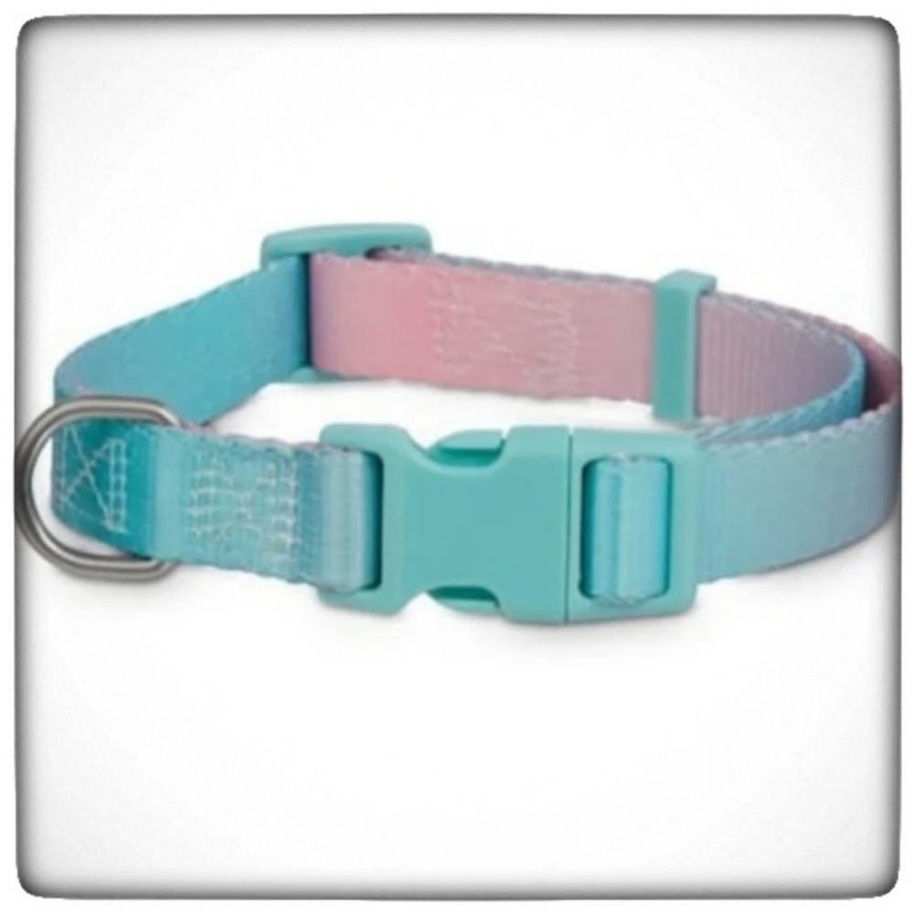 Good2Go Teal Ombre Dog Collar, Small